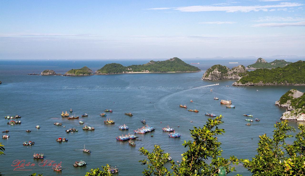 Cat Ba Hostel Cat Ba Island Εξωτερικό φωτογραφία